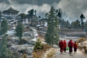 Timothy Neesam's Buddhist Monks, Bhutan is part of the Group 2 Exhibition in DNA, the Gallery 44 Members exhibition in Scotiabank Contact Photography Month